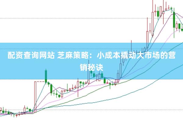 配资查询网站 芝麻策略：小成本撬动大市场的营销秘诀