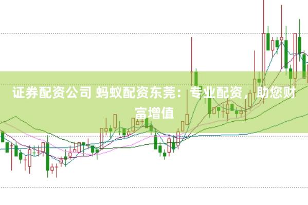 证券配资公司 蚂蚁配资东莞：专业配资，助您财富增值