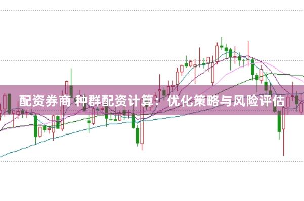 配资券商 种群配资计算：优化策略与风险评估