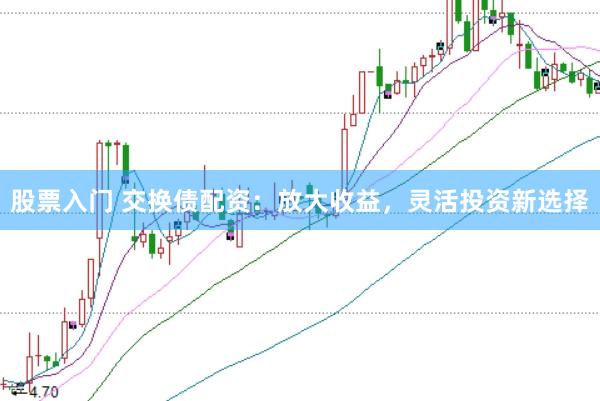 股票入门 交换债配资：放大收益，灵活投资新选择