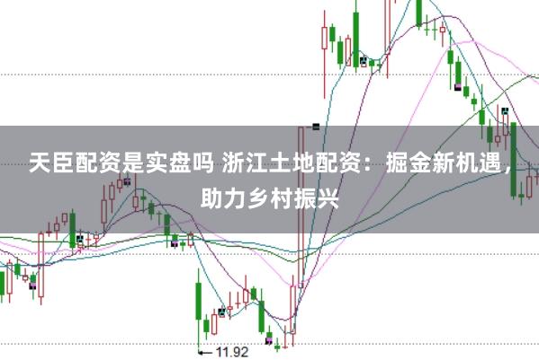 天臣配资是实盘吗 浙江土地配资：掘金新机遇，助力乡村振兴