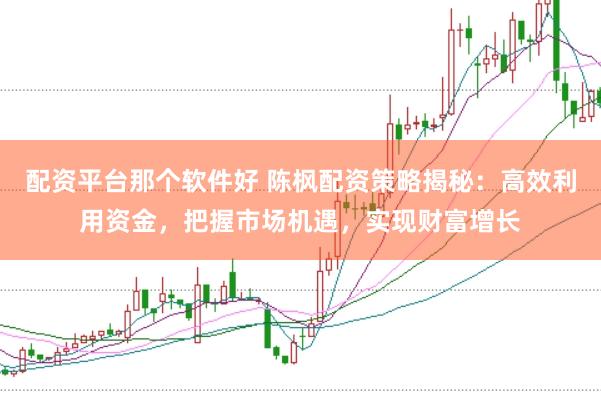 配资平台那个软件好 陈枫配资策略揭秘:高效利用资金,把握市场机遇,实现财富增长