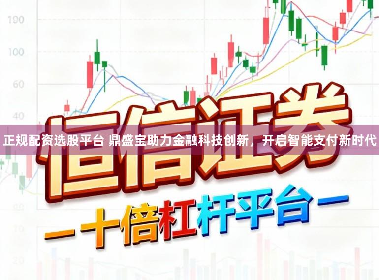 正规配资选股平台 鼎盛宝助力金融科技创新，开启智能支付新时代